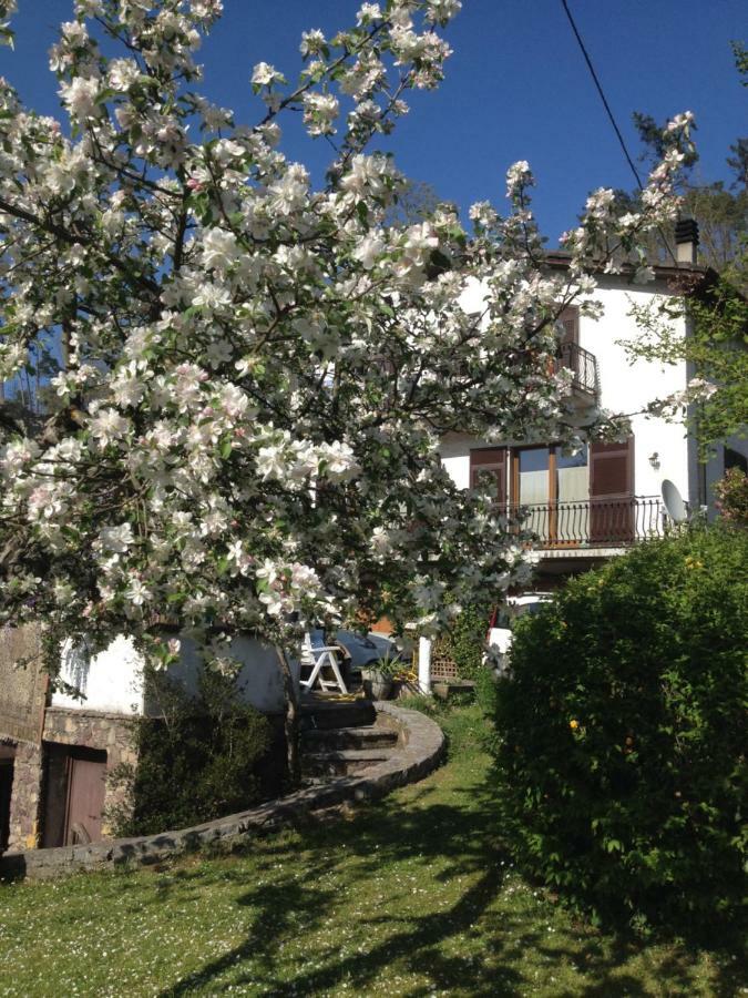 Il Ghiro B&B Ricco del Golfo di Spezia Exterior photo